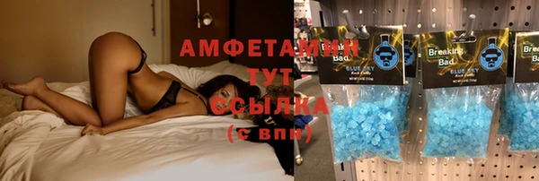стафф Алзамай