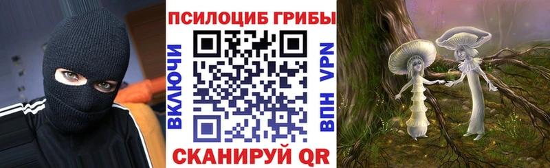 Галлюциногенные грибы мухоморы  ОМГ ОМГ ССЫЛКА  Богородск 